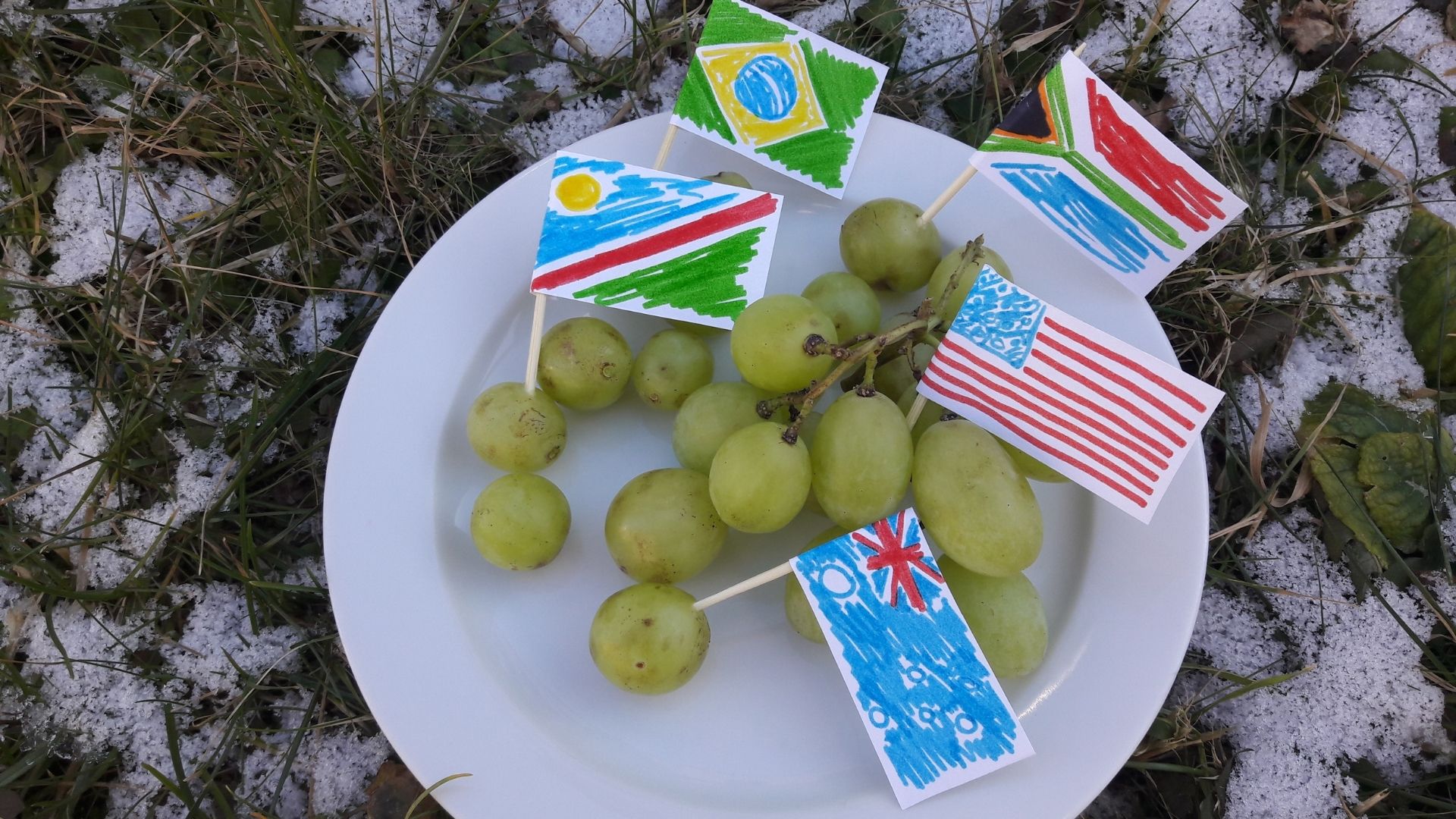Weintrauben im Winter?