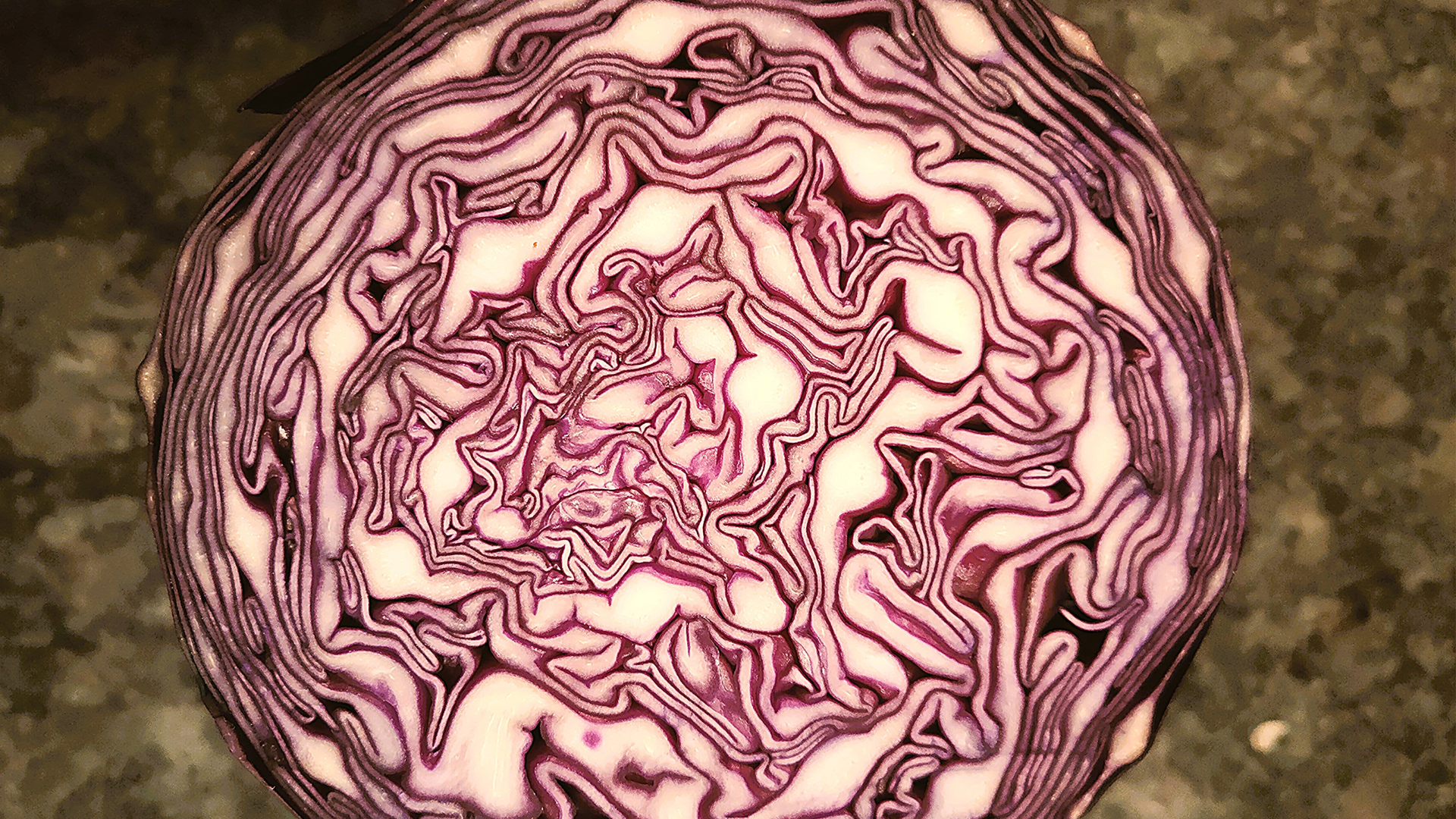 Rotkrautsuppe