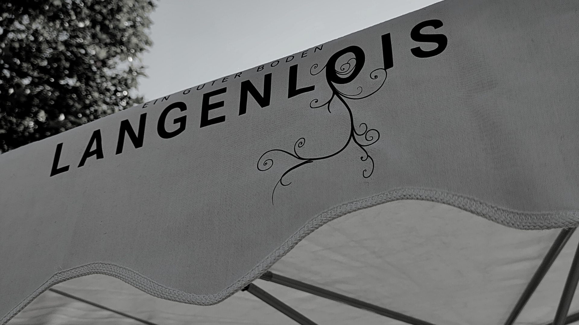 Genussmarkt Langenlois 2026